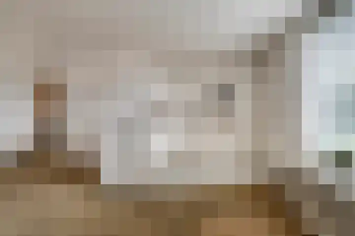 Wagenmaker 8 Leiderdorp thumbnail 10