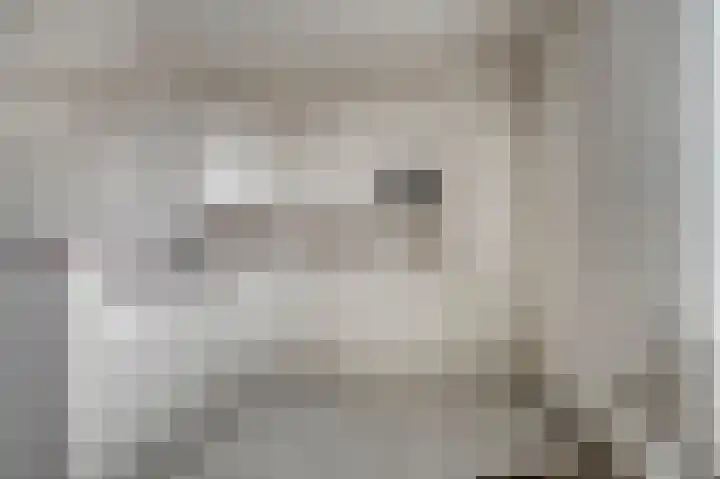 Wagenmaker 8 Leiderdorp thumbnail 12