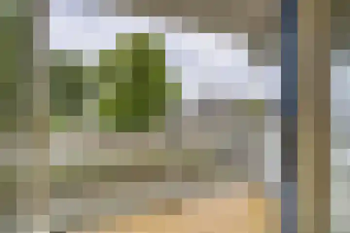 Wagenmaker 8 Leiderdorp thumbnail 17