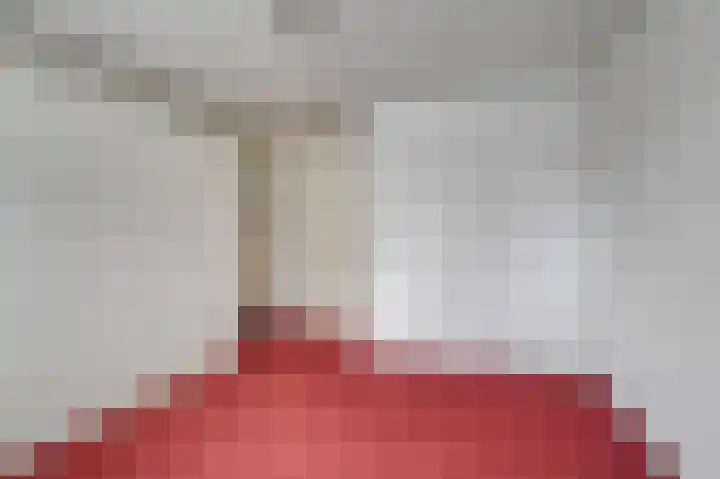 Wagenmaker 8 Leiderdorp thumbnail 22
