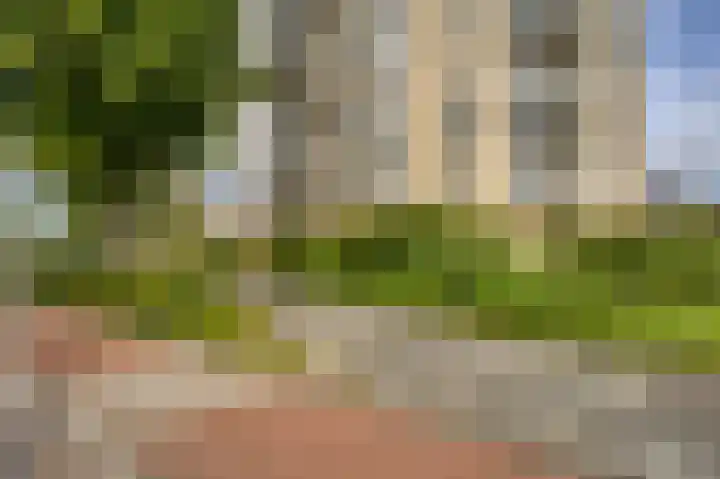 Wagenmaker 8 Leiderdorp thumbnail 4