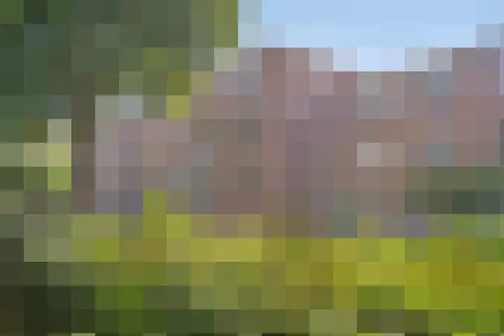 Wagenmaker 83 Alphen aan den Rijn thumbnail 29