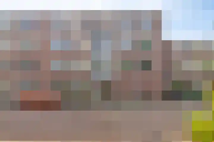 Wagenmaker 83 Alphen aan den Rijn foto 3