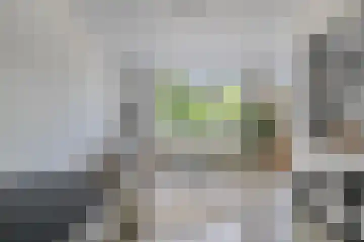 Wagenmaker 83 Alphen aan den Rijn thumbnail 9