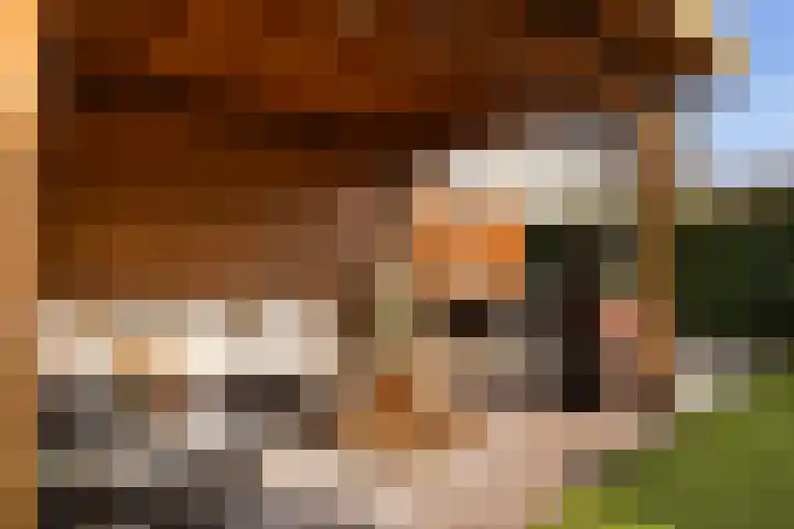 Wagenmaker 9 Hendrik-Ido-Ambacht thumbnail 16