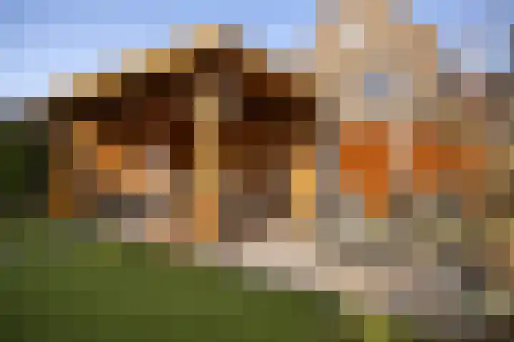 Wagenmaker 9 Hendrik-Ido-Ambacht thumbnail 17