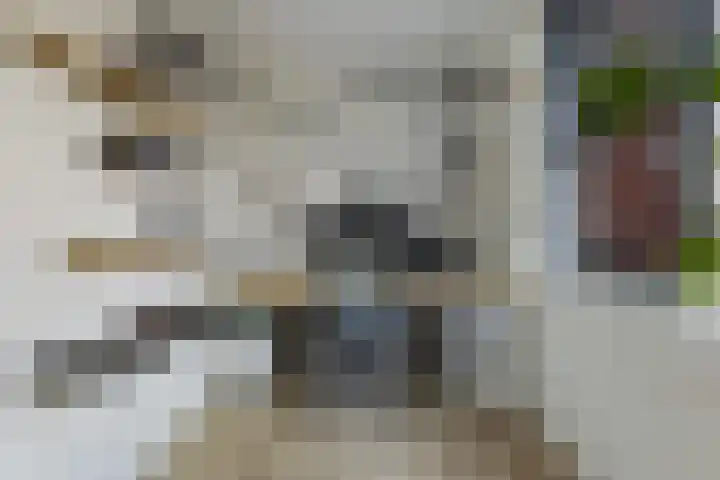 Wagenmaker 9 Hendrik-Ido-Ambacht thumbnail 27