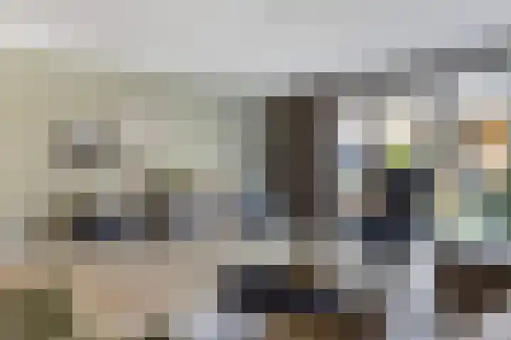 Wagenmaker 9 Hendrik-Ido-Ambacht thumbnail 4