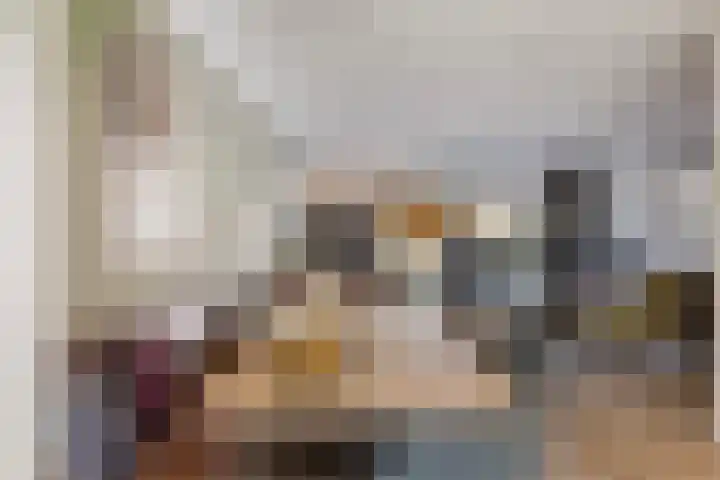 Wagenmaker 9 Hendrik-Ido-Ambacht thumbnail 8