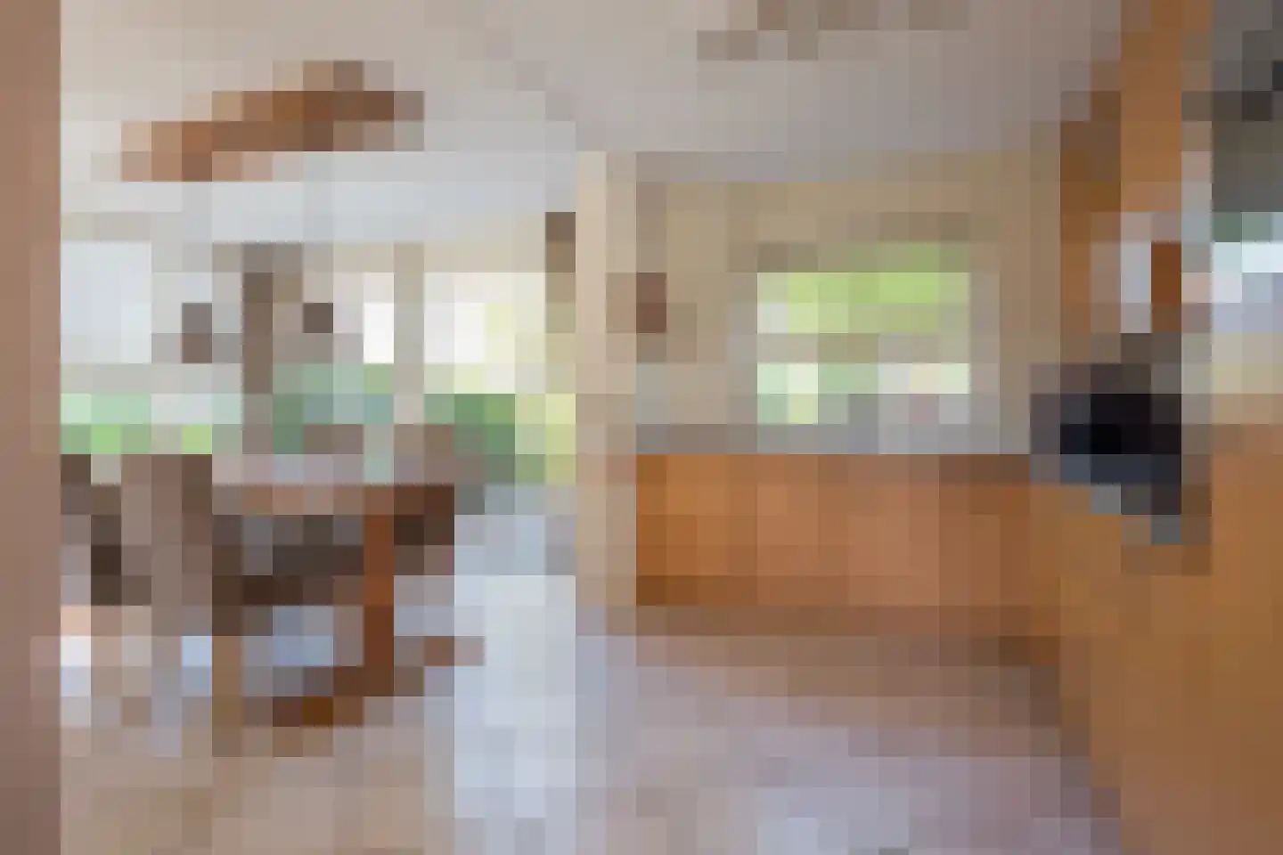 Wagenmakerslaan 1 Voorthuizen thumbnail 11