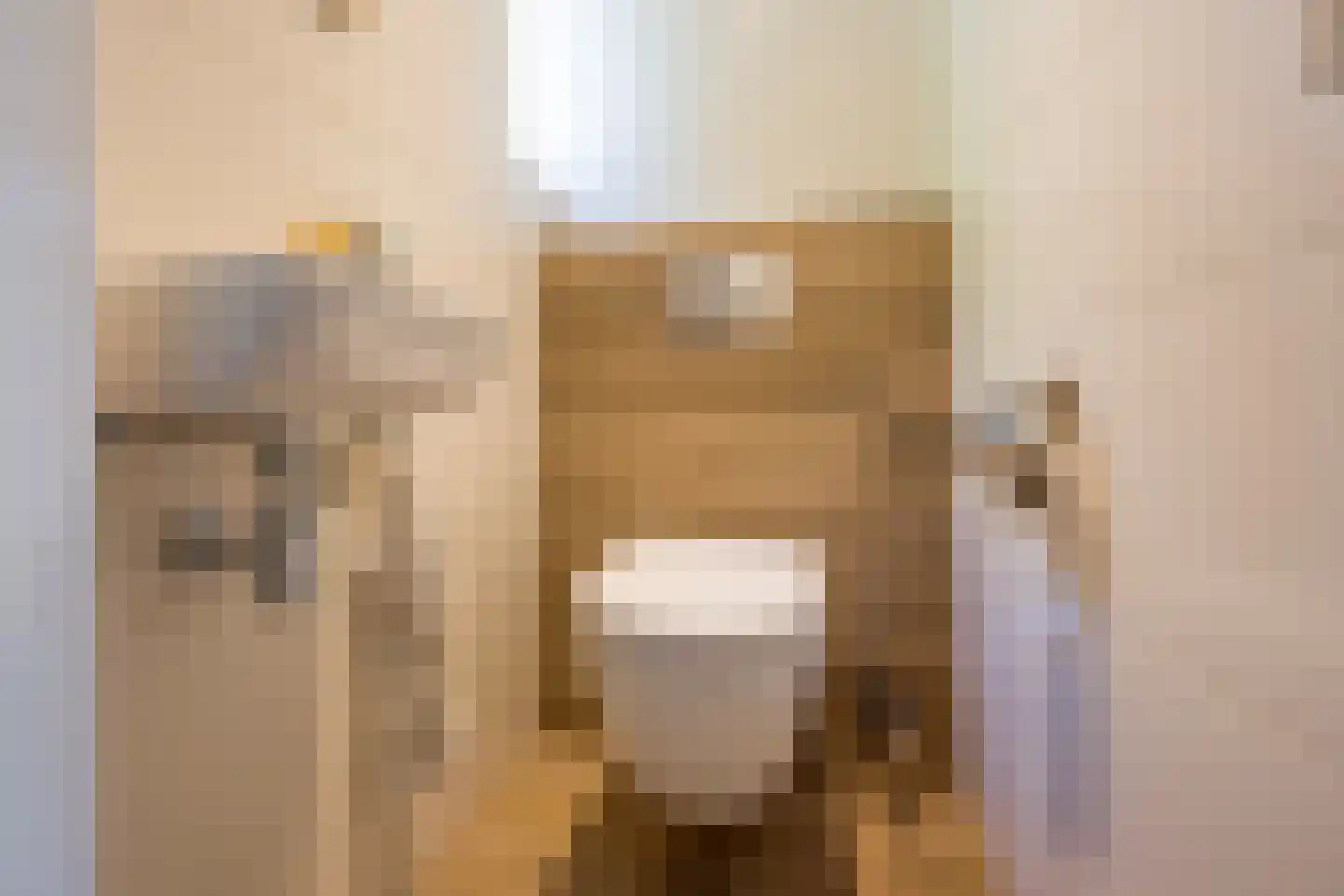 Wagenmakerslaan 1 Voorthuizen thumbnail 19