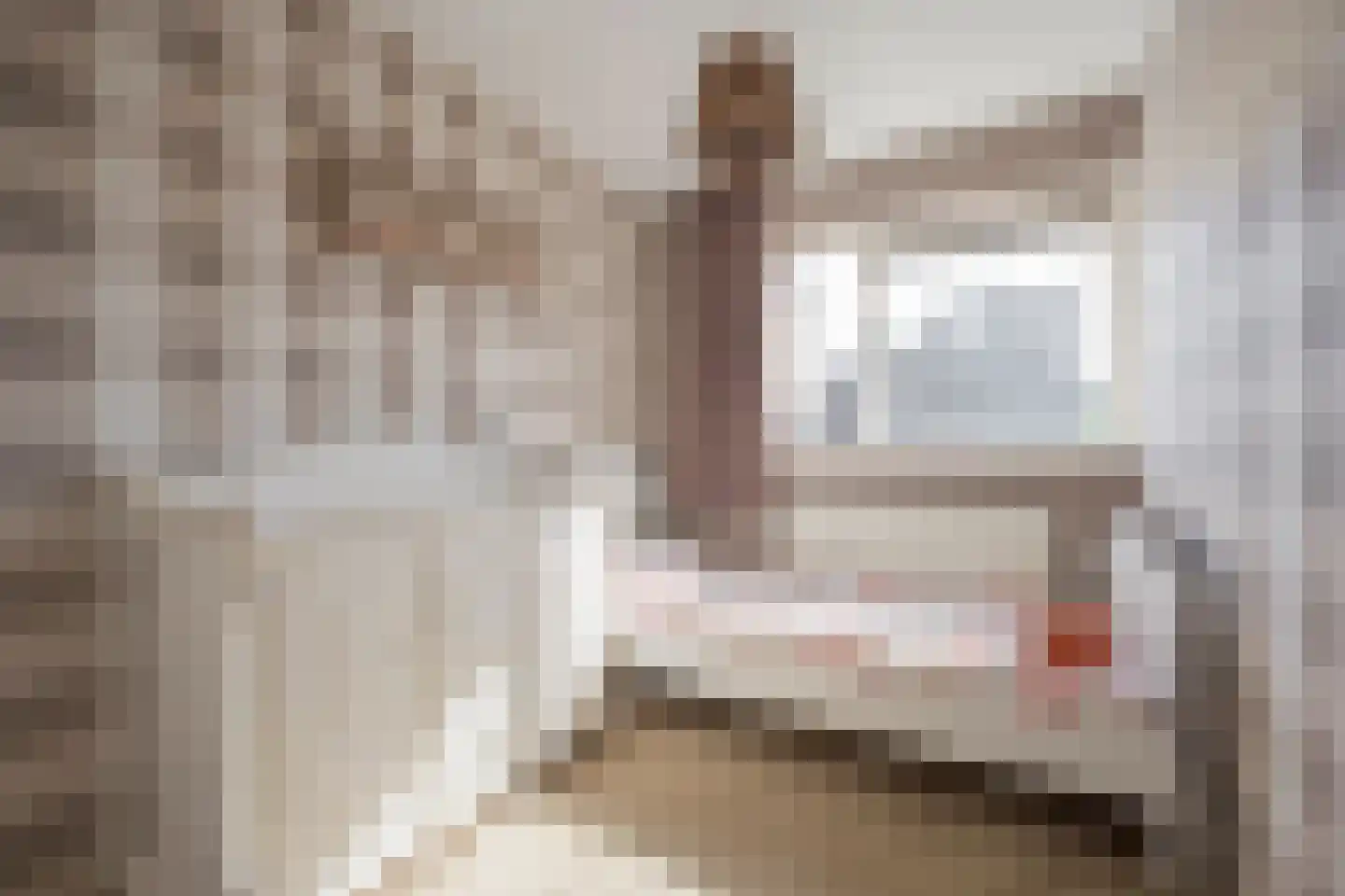 Wagenmakerslaan 1 Voorthuizen thumbnail 22