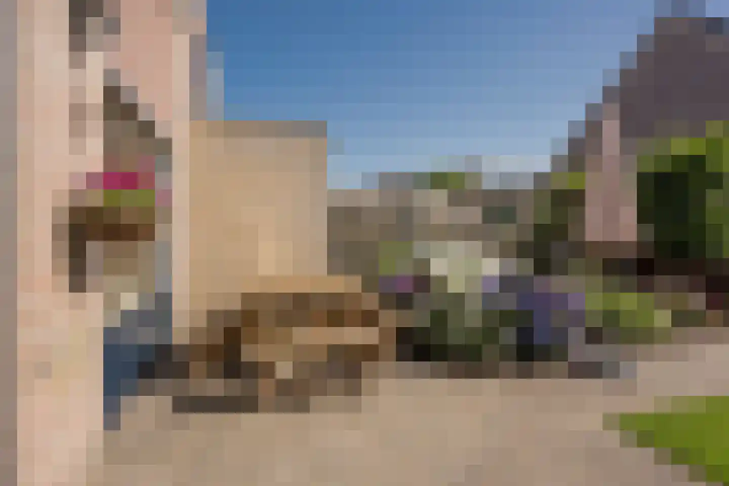 Wagenmakerslaan 1 Voorthuizen thumbnail 31