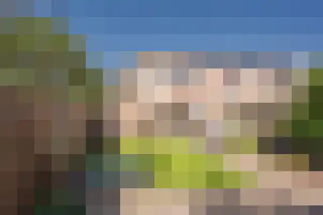 Wagenmakerslaan 1 Voorthuizen thumbnail 32