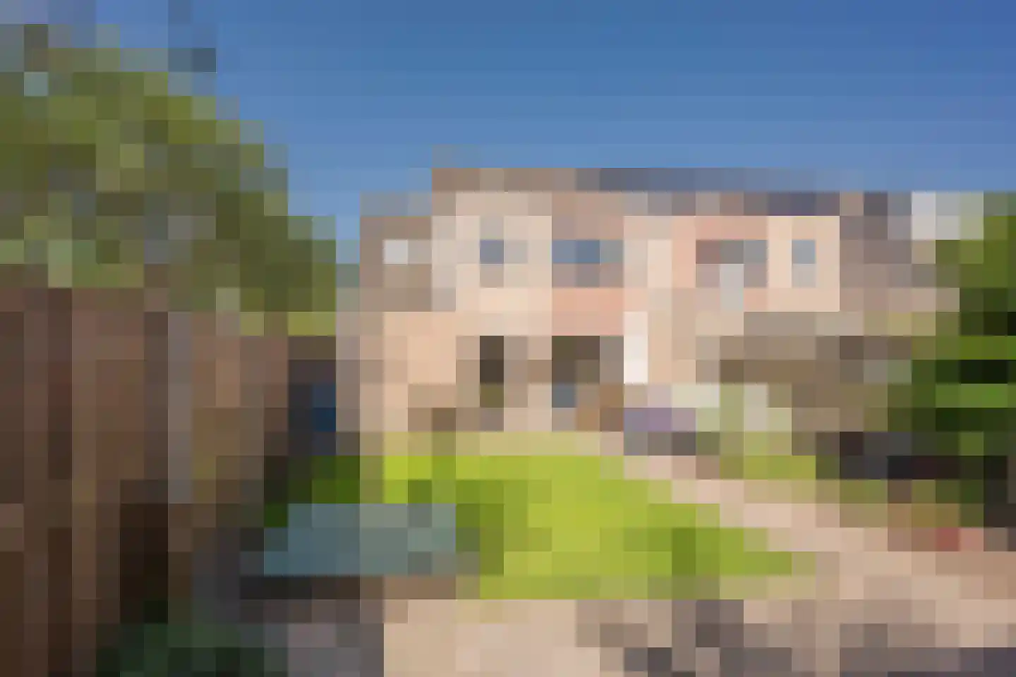 Wagenmakerslaan 1 Voorthuizen thumbnail 32