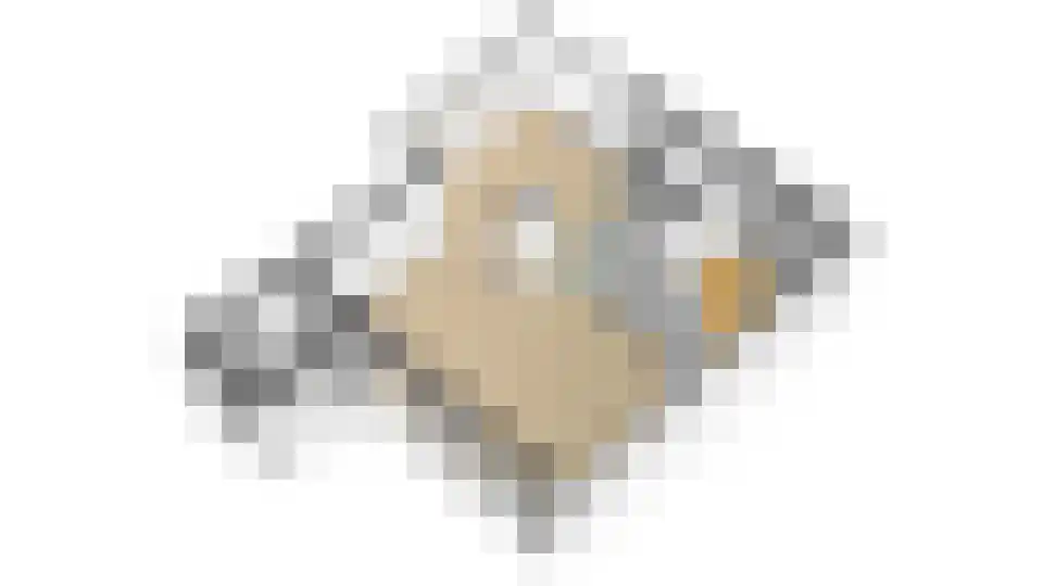 Wagenmakerslaan 1 Voorthuizen thumbnail 40