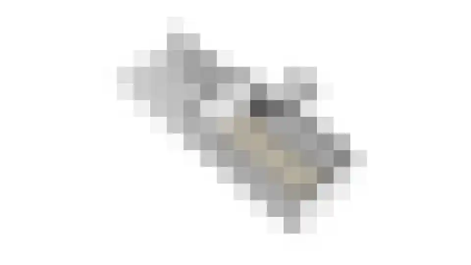 Wagenmakerslaan 1 Voorthuizen thumbnail 49