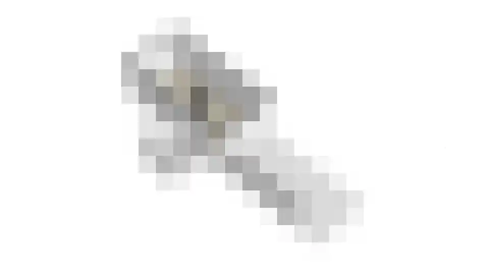 Wagenmakerslaan 1 Voorthuizen thumbnail 50