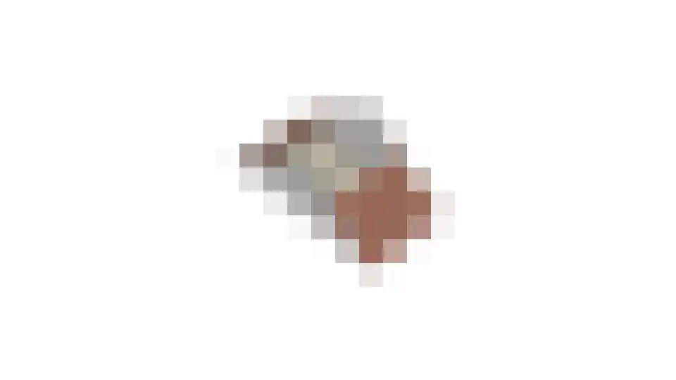 Wagenmakerslaan 1 Voorthuizen thumbnail 53