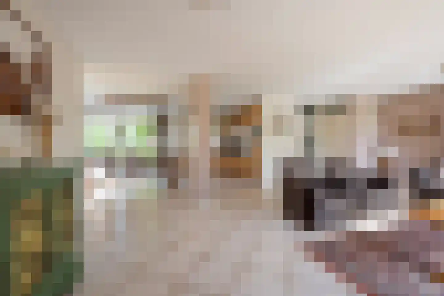 Wagenmakerslaan 1 Voorthuizen thumbnail 8