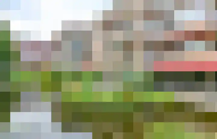 Wagenmakerslaan 46 Haarlem thumbnail 21