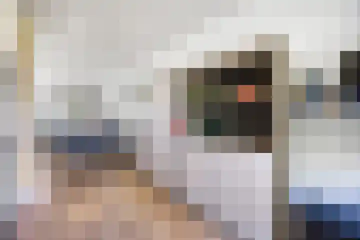 Wagenmakerslaan 9 Voorthuizen thumbnail 12
