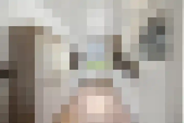 Wagenmakerslaan 9 Voorthuizen thumbnail 13