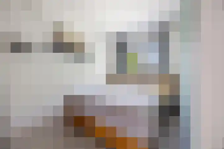 Wagenmakerslaan 9 Voorthuizen thumbnail 19