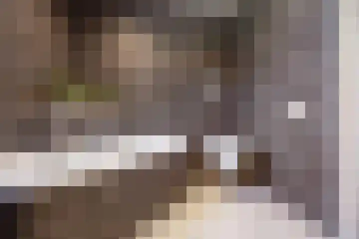 Wagenmakerslaan 9 Voorthuizen thumbnail 26