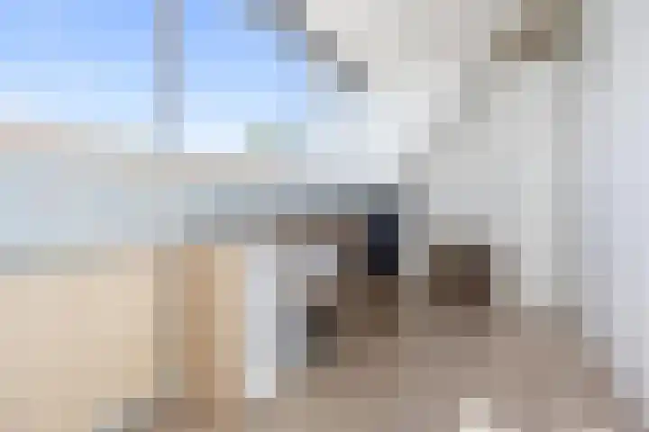 Wagenmakerslaan 9 Voorthuizen thumbnail 29