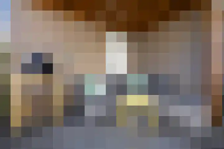 Wagenmakerslaan 9 Voorthuizen thumbnail 36