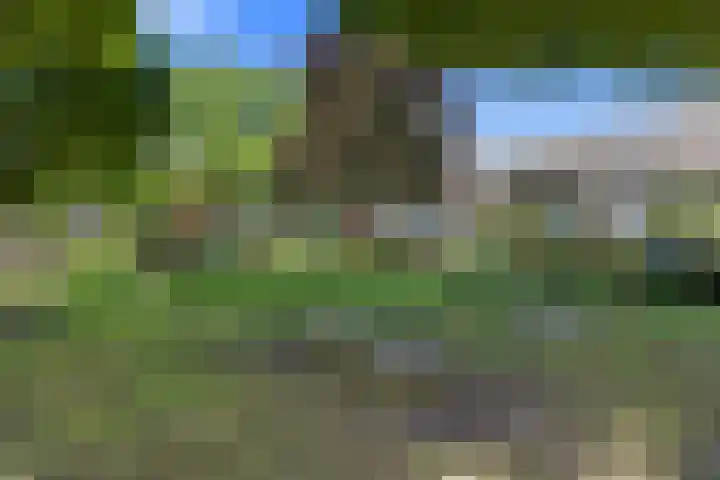 Wagenmakerslaan 9 Voorthuizen thumbnail 40