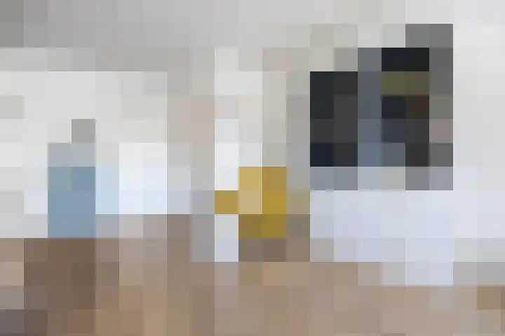 Wagenmakerslaan 9 Voorthuizen thumbnail 8