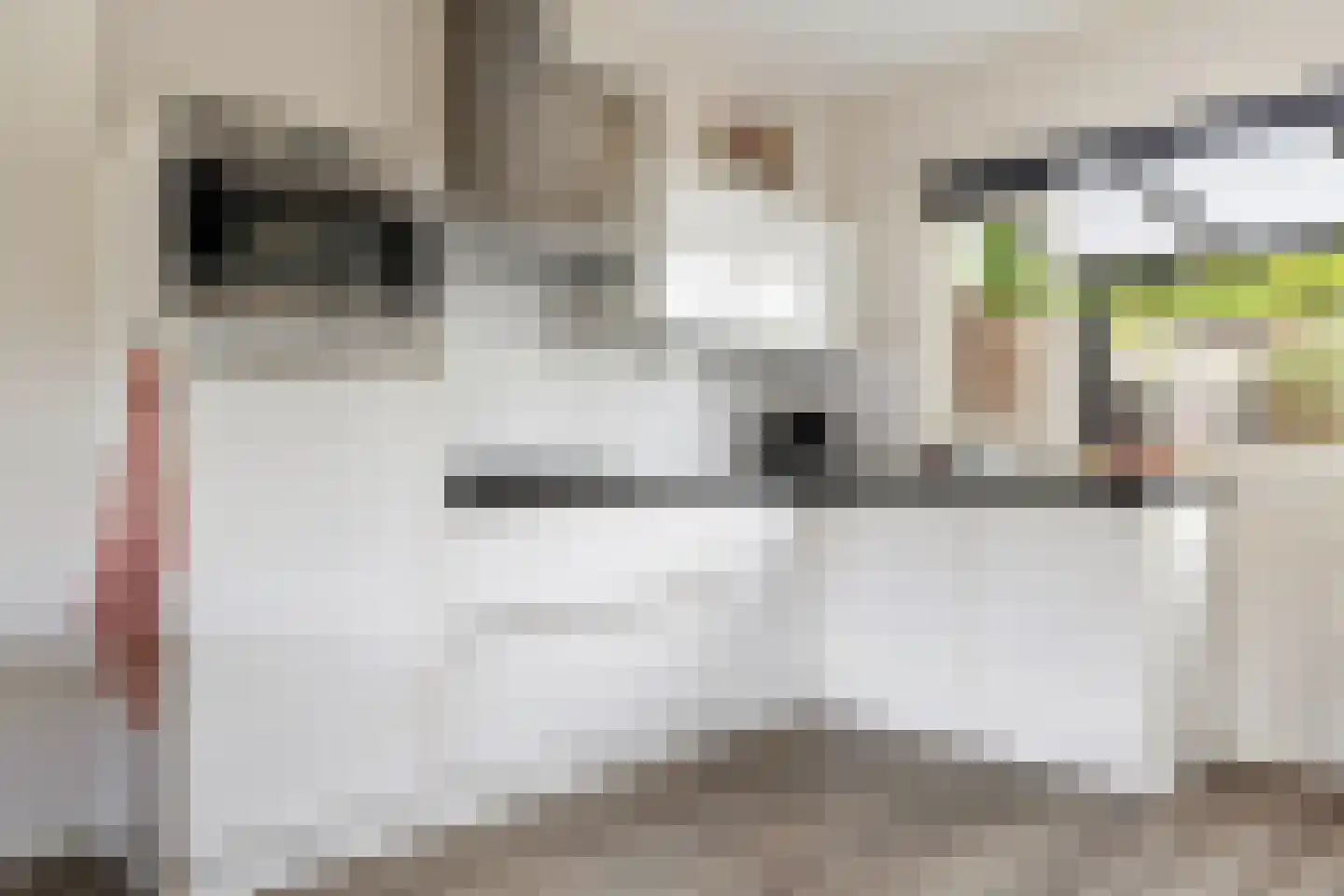 Wagenmakersstraat 10 Vaassen thumbnail 8