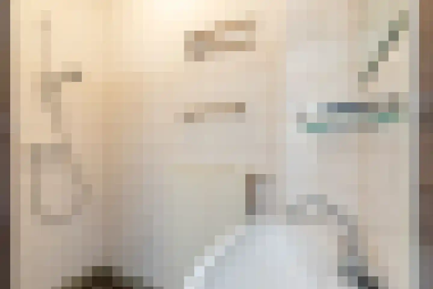 Wagenmakersstraat 2 Biggekerke thumbnail 16