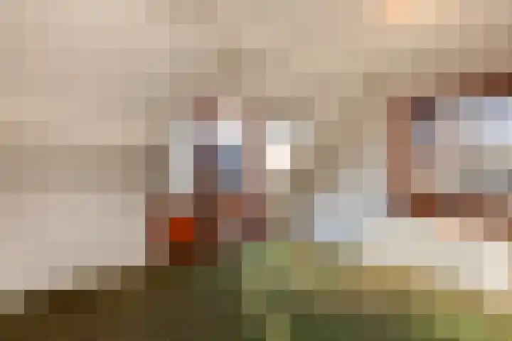 Wagenmakersstraat 2 Biggekerke thumbnail 17