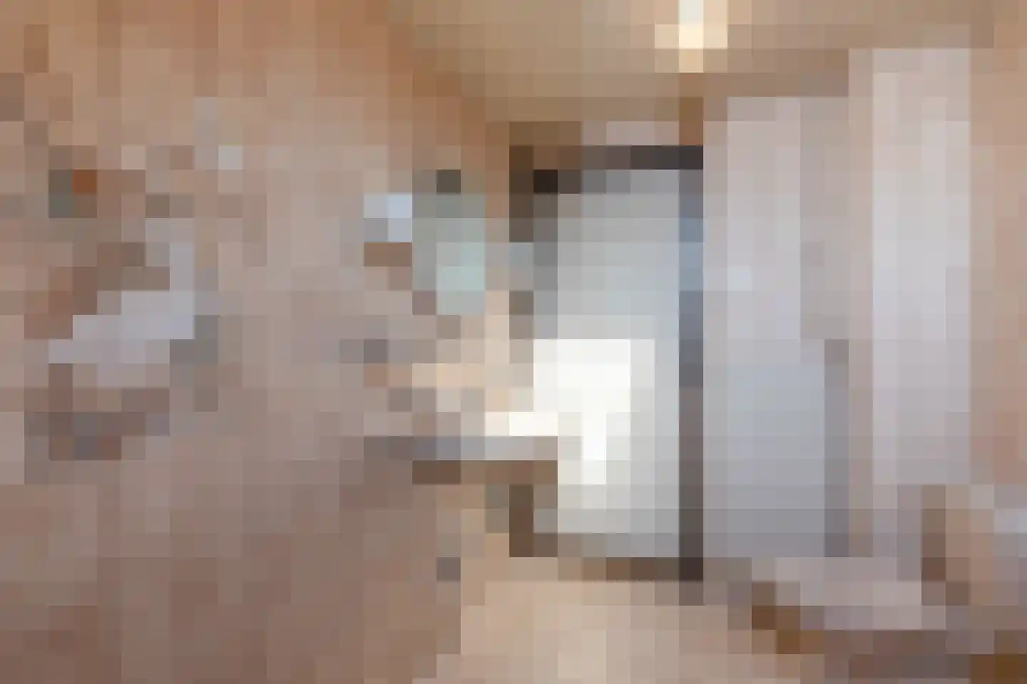 Wagenmakersstraat 2 Biggekerke thumbnail 22