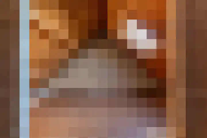 Wagenmakersstraat 2 Biggekerke thumbnail 26