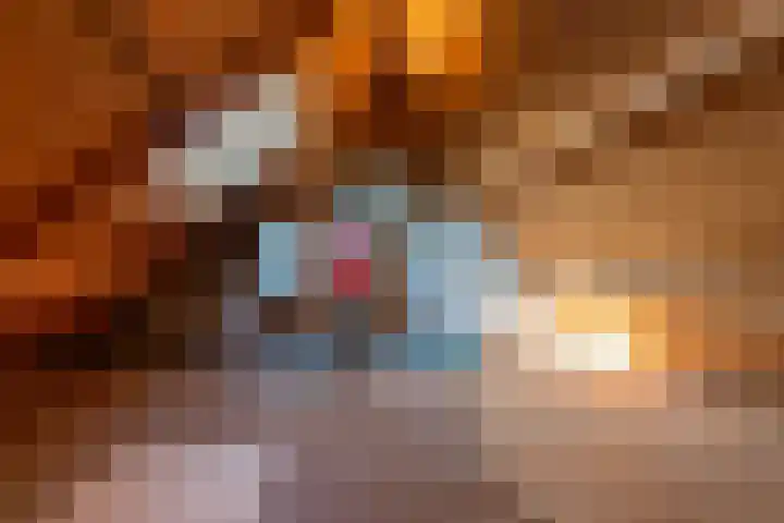 Wagenmakersstraat 2 Biggekerke thumbnail 27