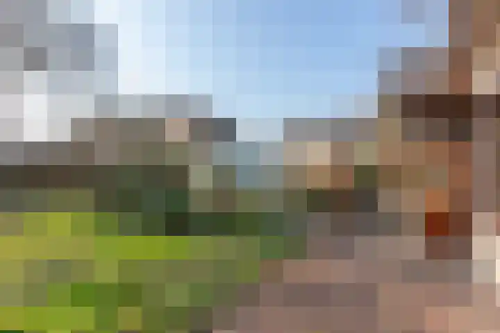 Wagenmakersstraat 2 Biggekerke thumbnail 28