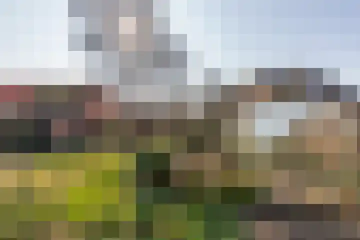 Wagenmakersstraat 2 Biggekerke thumbnail 29