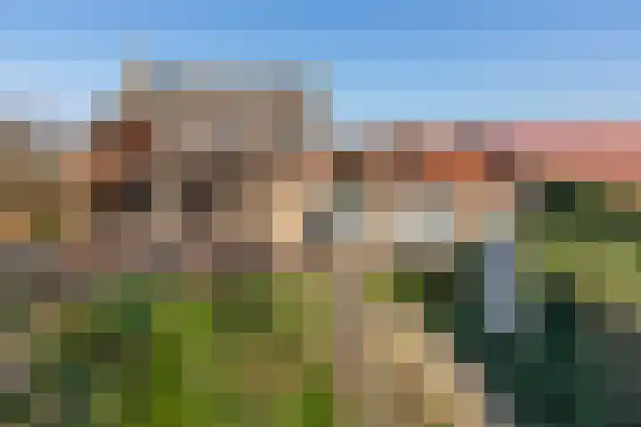 Wagenmakersstraat 2 Biggekerke thumbnail 31