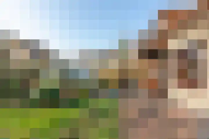 Wagenmakersstraat 2 Biggekerke thumbnail 32