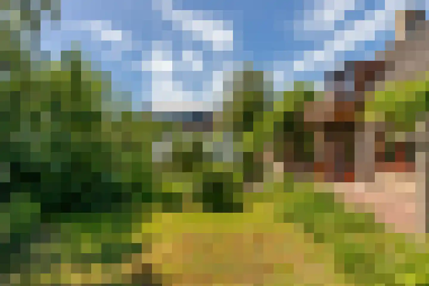Wagenmakersstraat 2 Biggekerke thumbnail 32