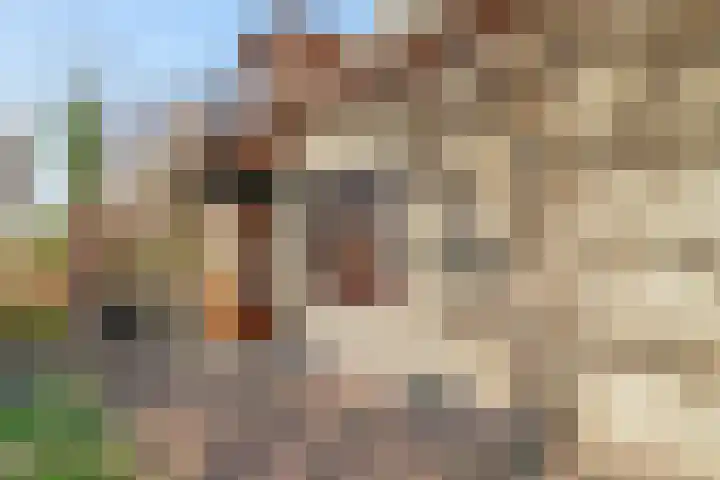 Wagenmakersstraat 2 Biggekerke thumbnail 34