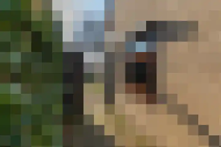Wagenmakersstraat 2 Biggekerke thumbnail 35