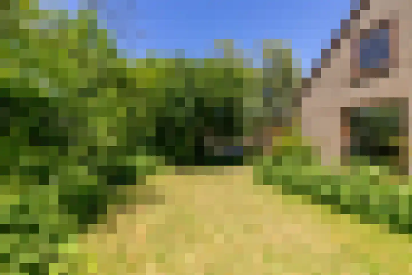 Wagenmakersstraat 2 Biggekerke thumbnail 4