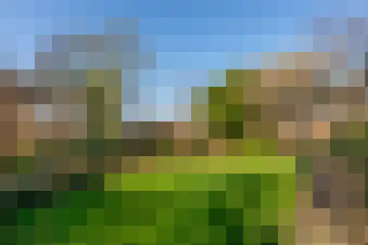 Wagenmakersstraat 2 Biggekerke thumbnail 4