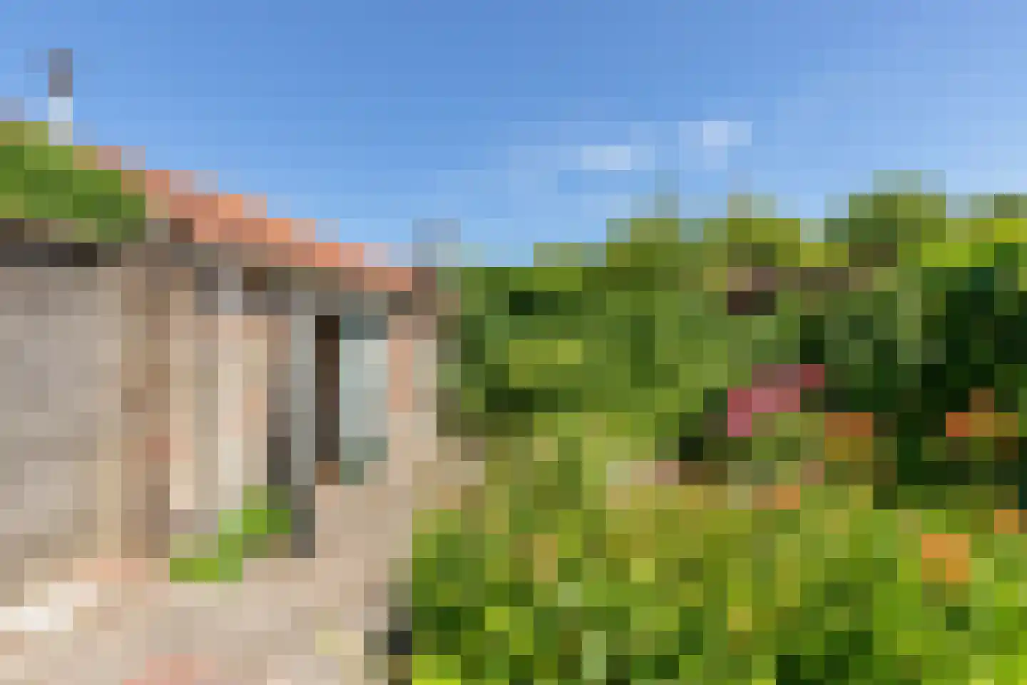 Wagenmakersstraat 2 Biggekerke thumbnail 45