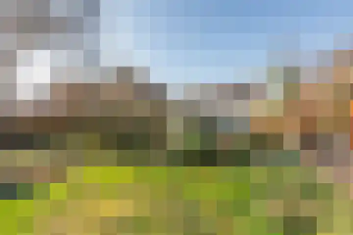 Wagenmakersstraat 2 Biggekerke thumbnail 48